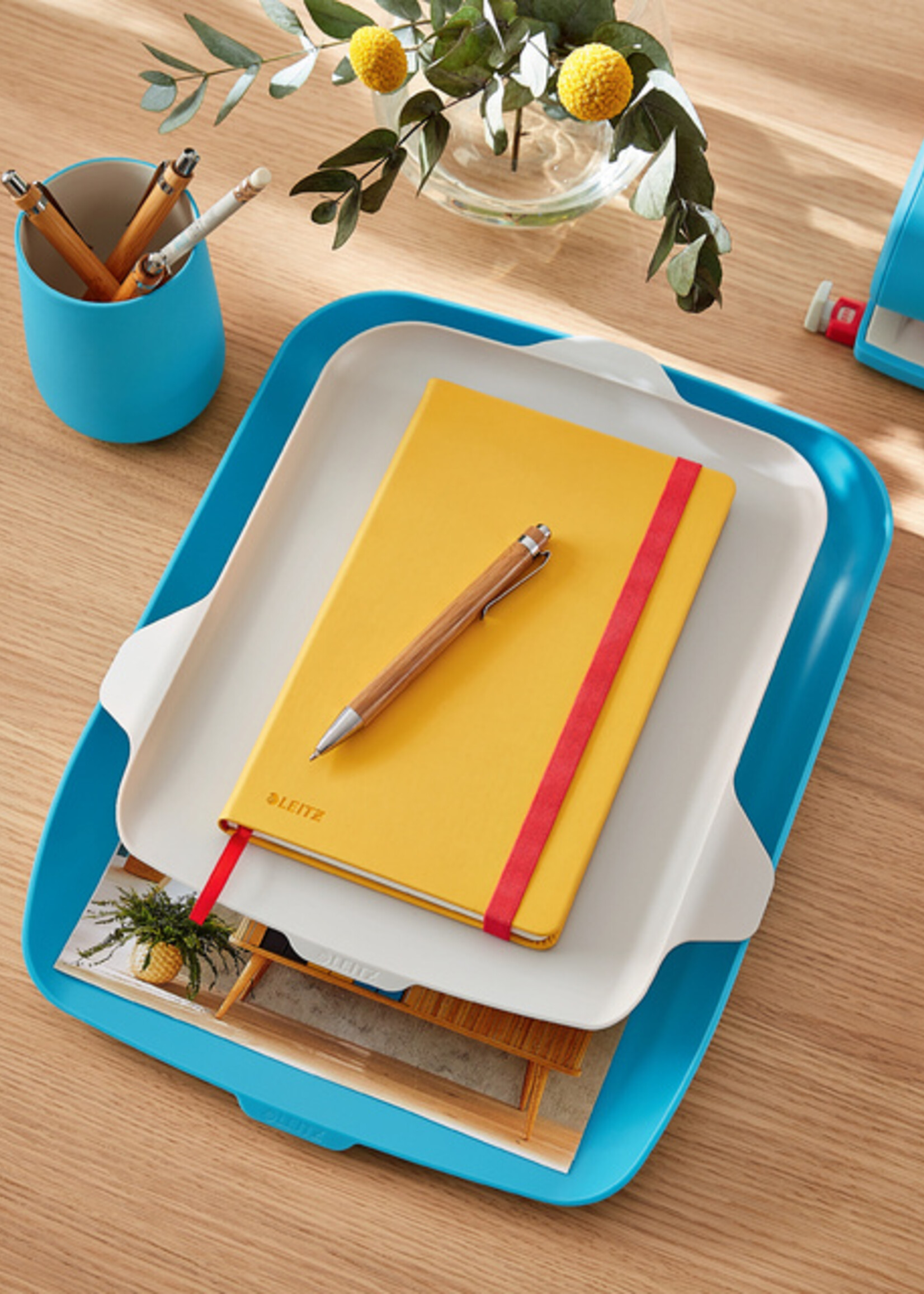 Leitz Brievenbak Leitz Cosy met desk organiser blauw