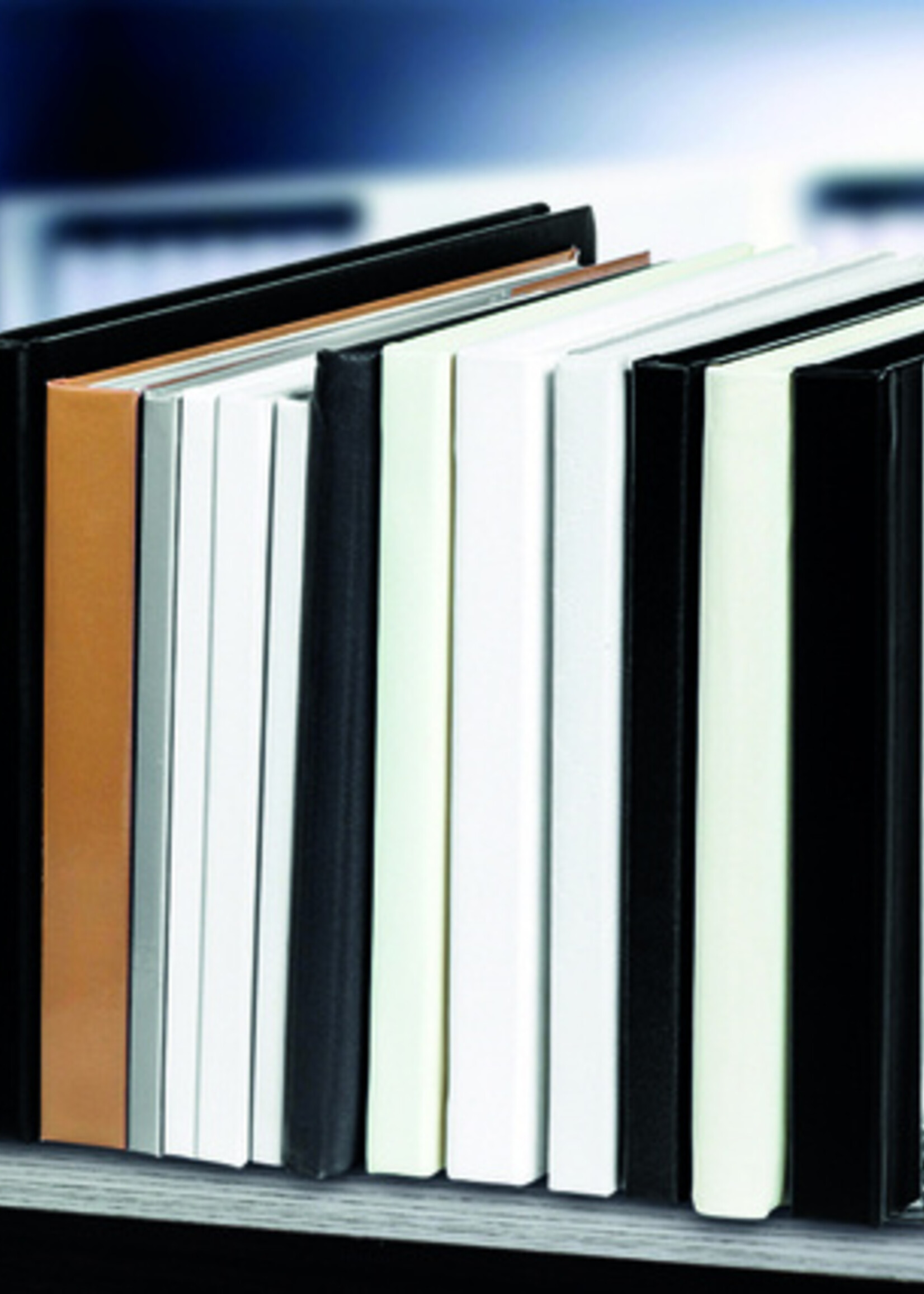 MAUL Serre-livres MAUL acryl 16x15x21cm jeu 2 pièces transparent