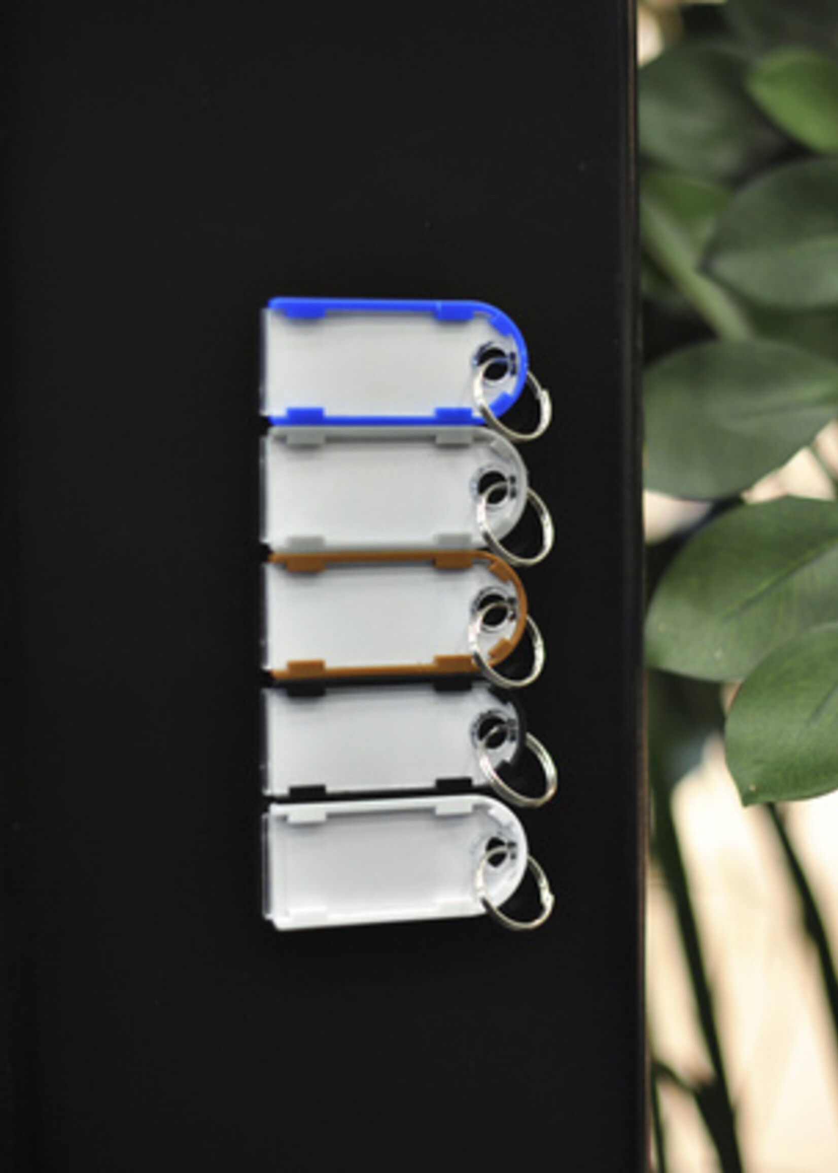 Pavo Porte-clés Pavo magnétique assorti