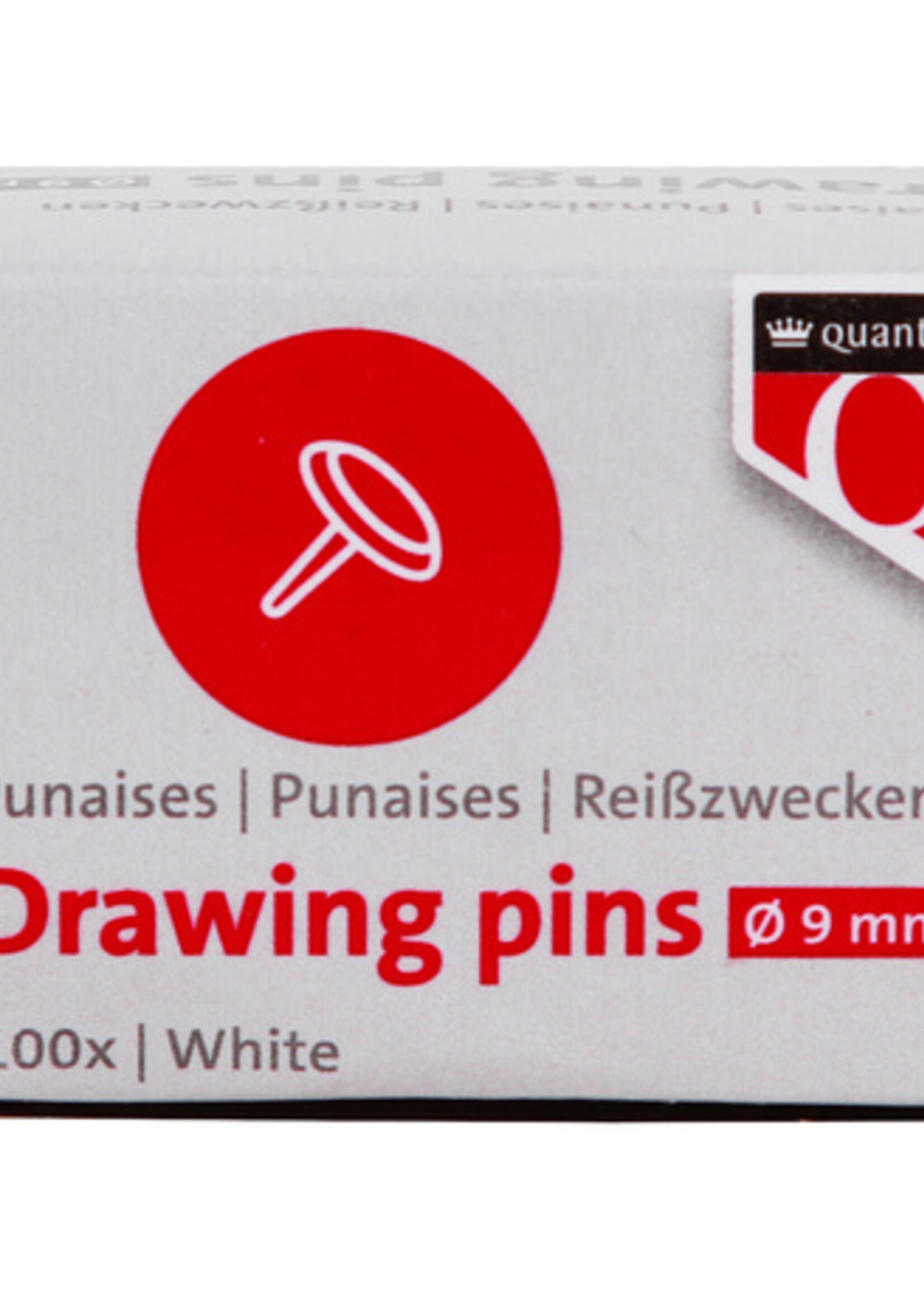 Quantore Punaises Quantore 100 stuks zilver