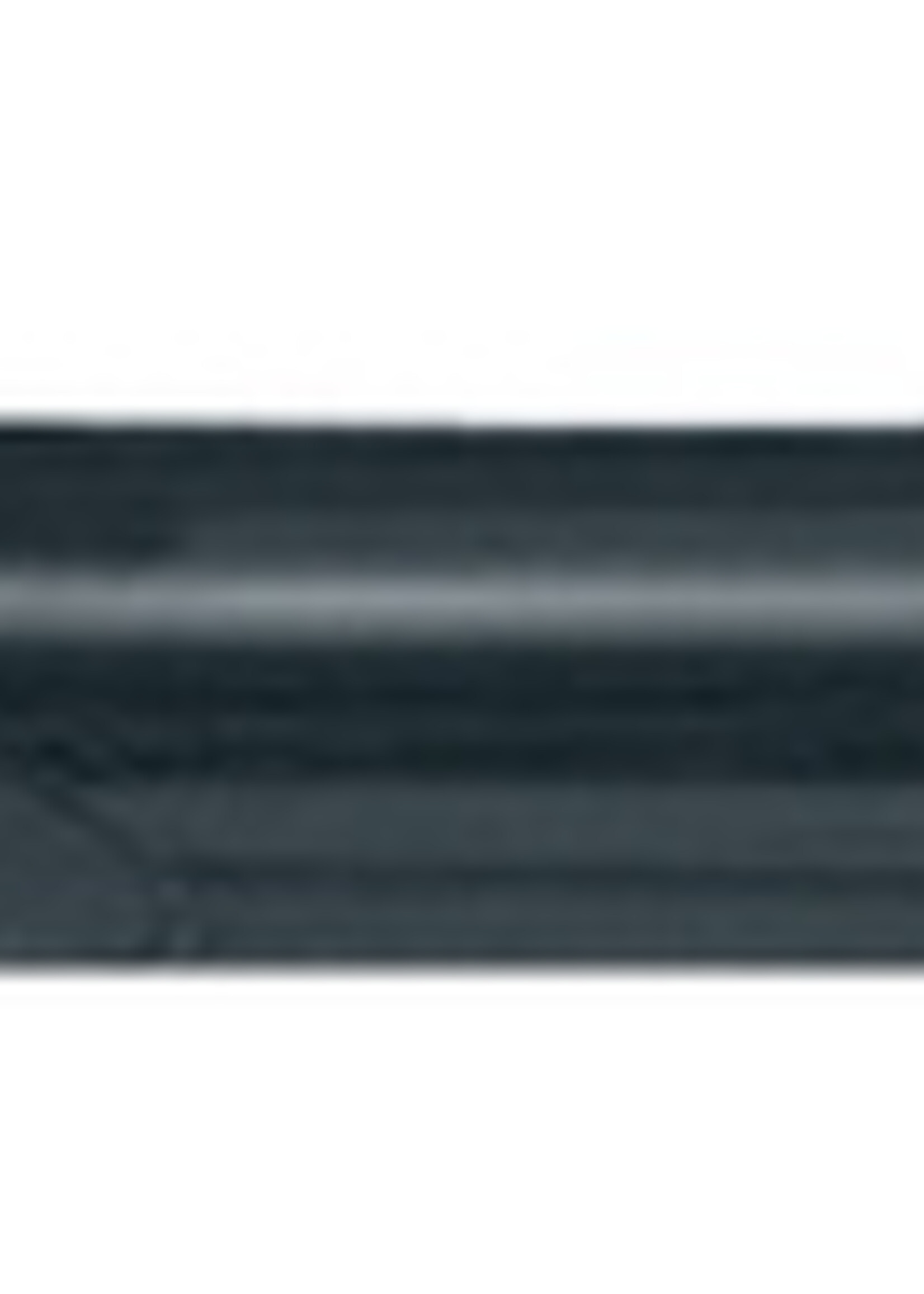 Pilot Balpen PILOT Begreen Rexgrip zwart 0,32mm