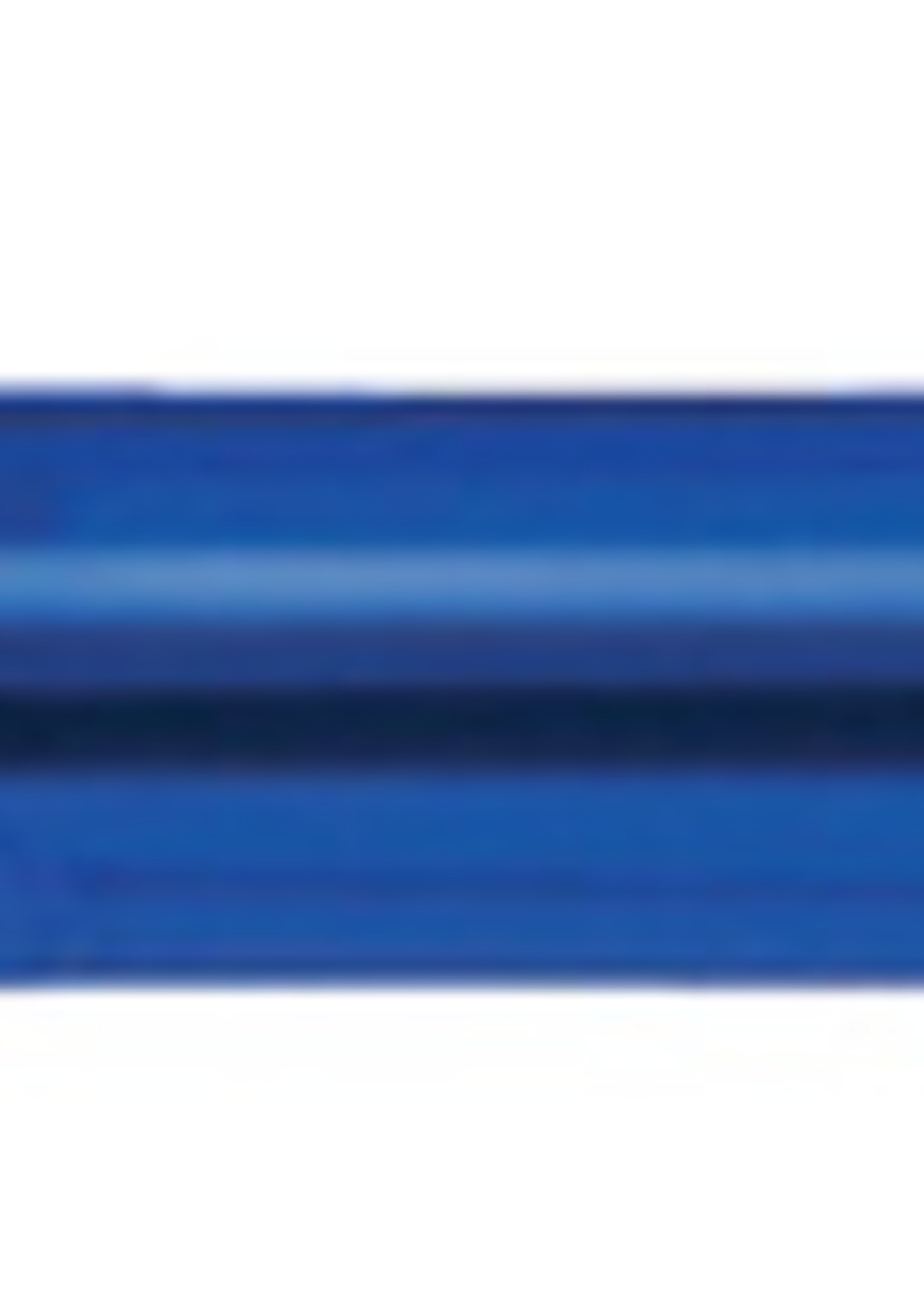 Pilot Balpen PILOT Begreen Rexgrip blauw 0,32mm