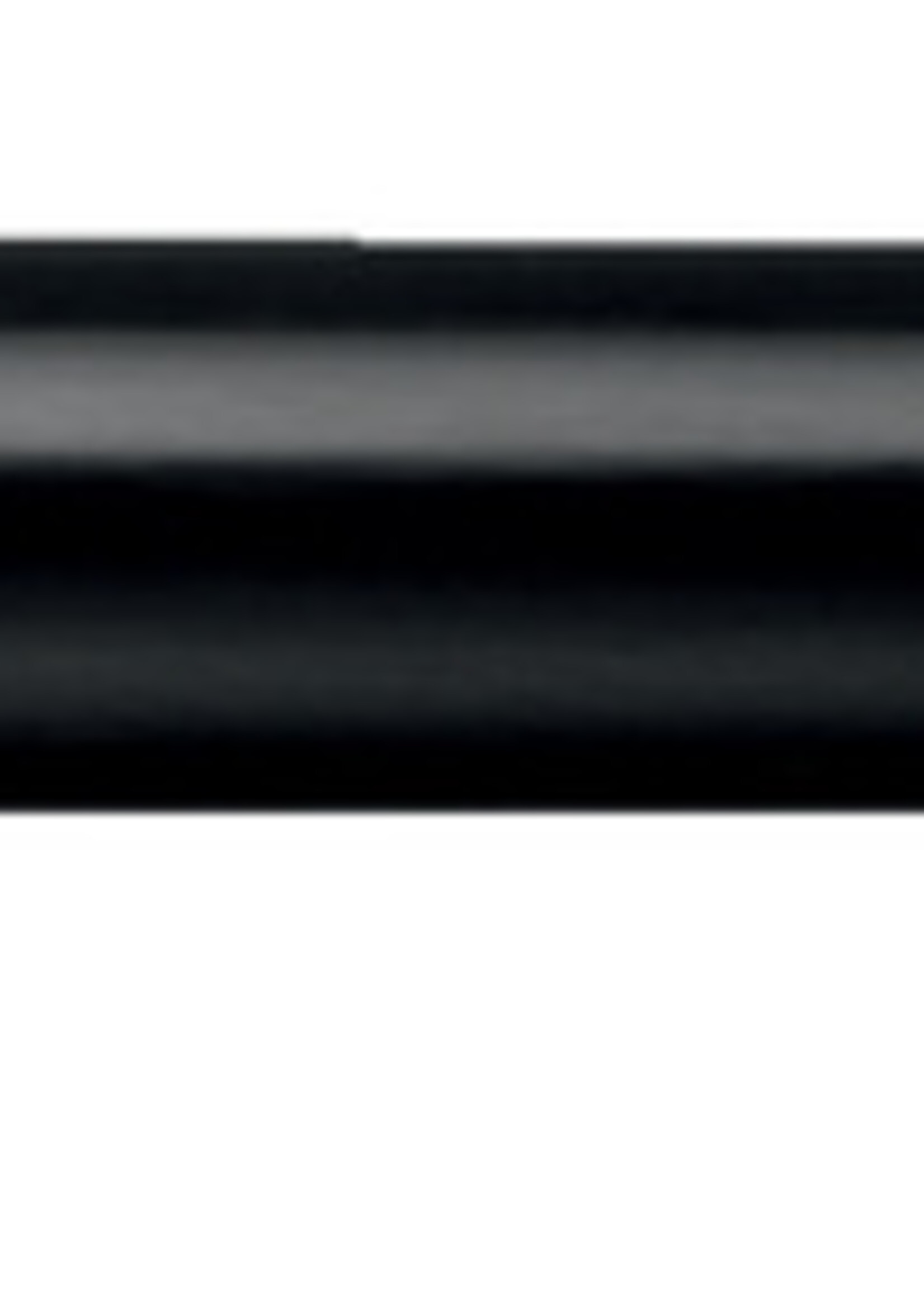 Pilot Cartouche d’encre Pilot Begreen Hi-Tecpoint 2237+2238 noir