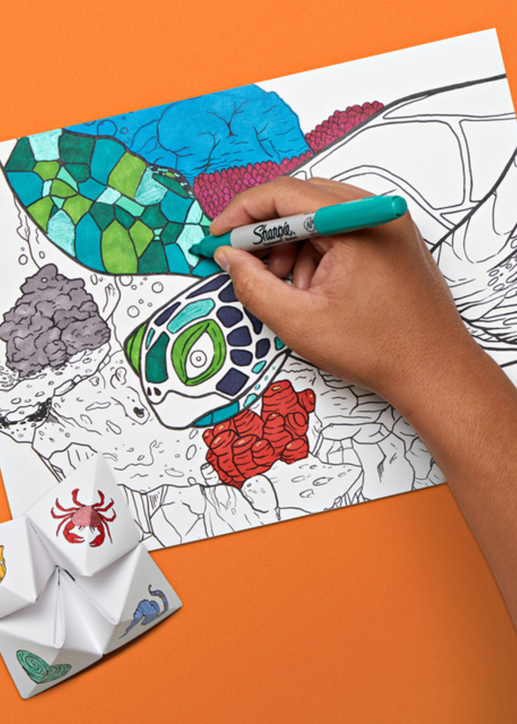 Sharpie Viltstift Sharpie fijn assorti