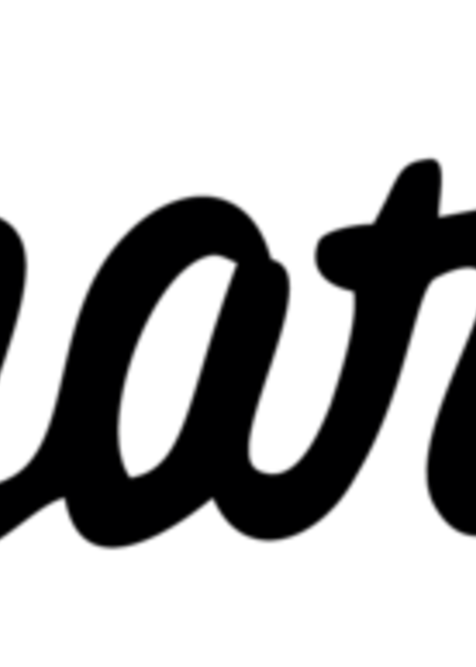 Sharpie Viltstift Sharpie rond 0.5mm zwart blister à 2 stuks