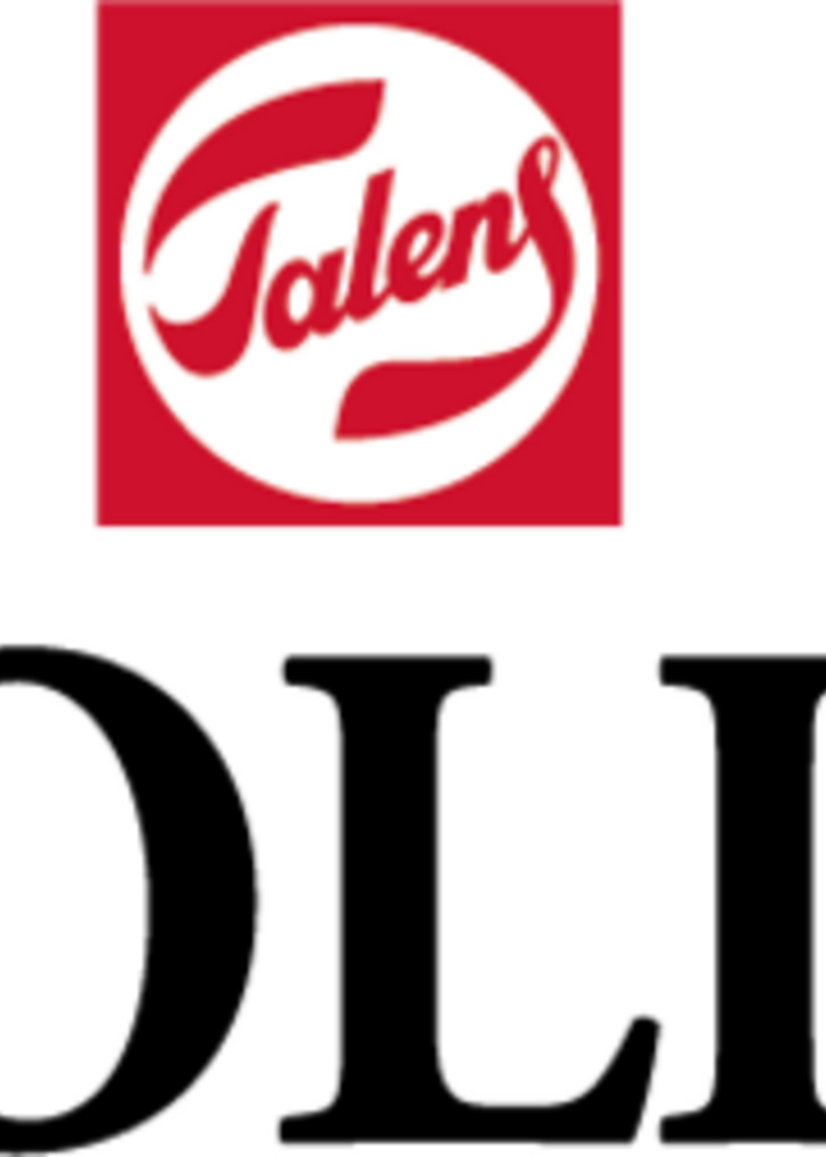 Talens Ecoline Feutre pinceau Ecoline Brush Pen set 10 pièces Fashion