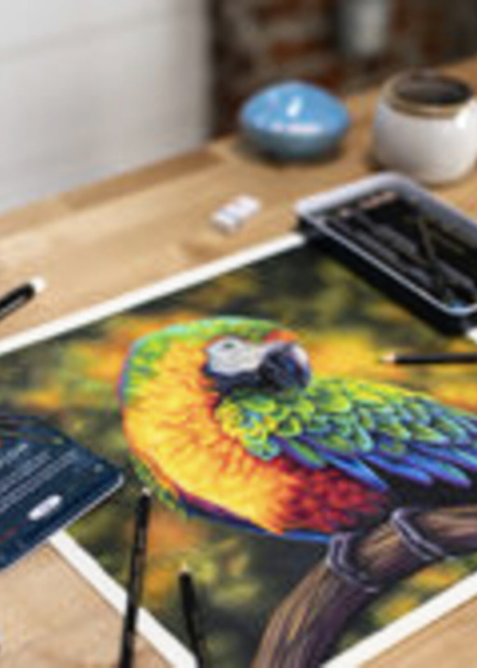 Derwent Crayon de couleur Derwent Chromaflow set 12 couleurs