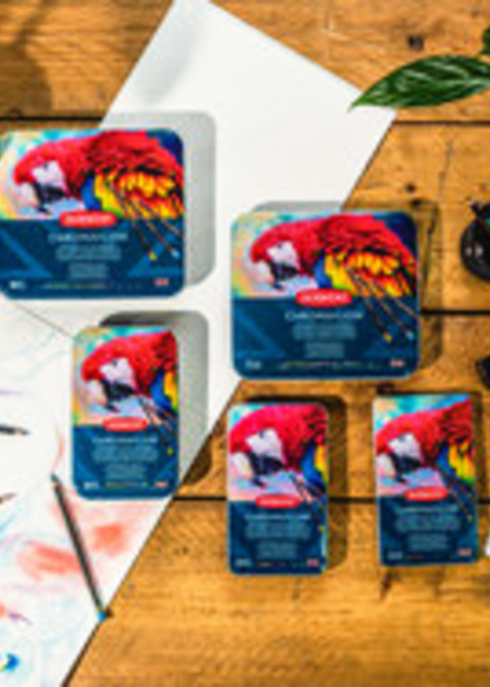 Derwent Crayon de couleur Derwent Chromaflow set 12 couleurs