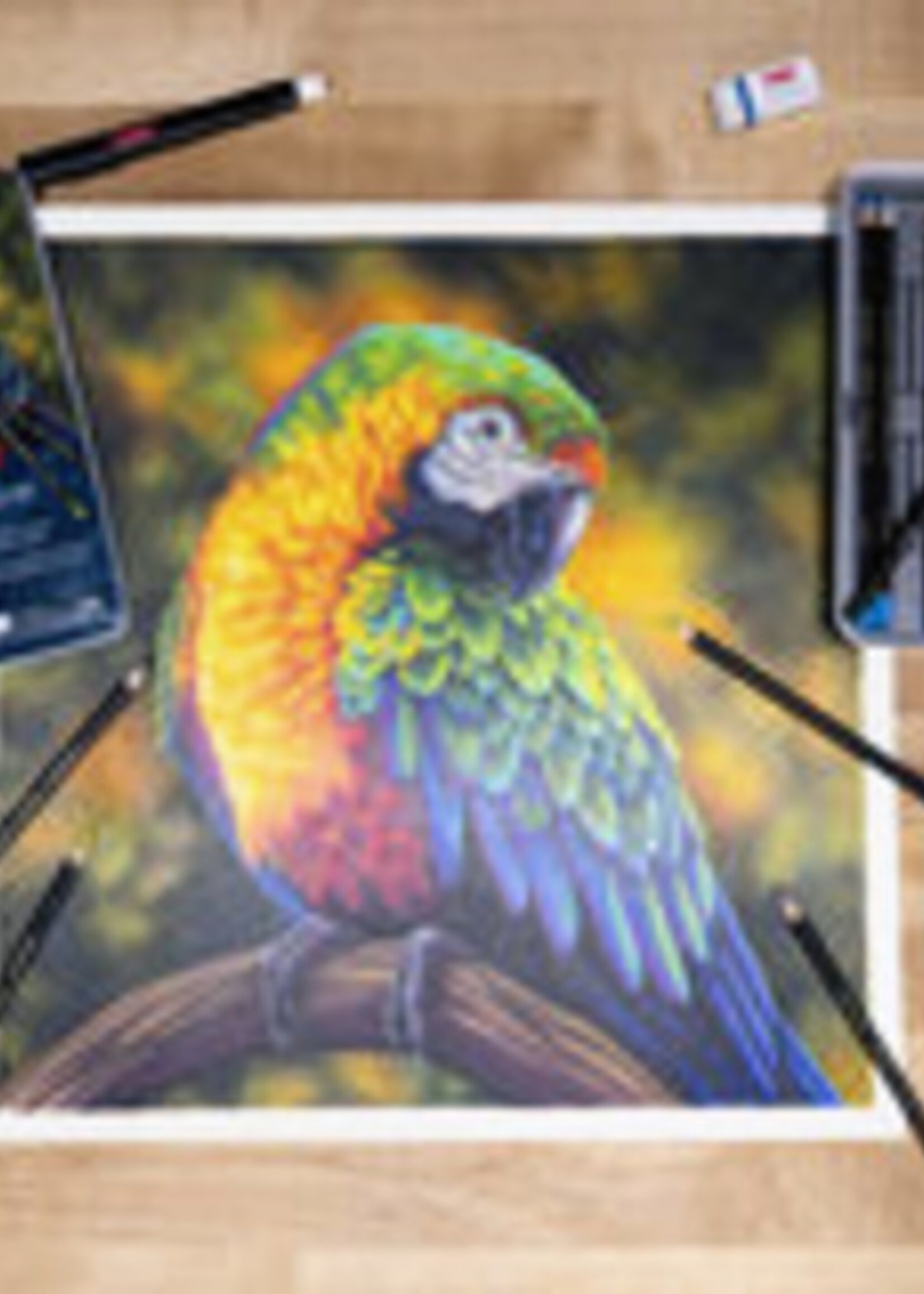 Derwent Crayon de couleur Derwent Chromaflow set 24 couleurs