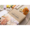 Creotime Crêpepapier Creotime DIY starterset bloemen