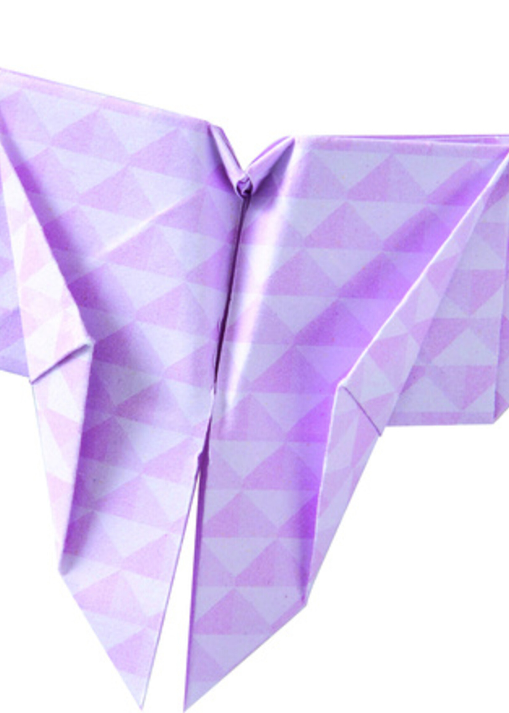 Folia Paper Vouwblaadjes Folia 80gr 15x15cm 50 vel 2-zijdig Japan 10 designs assorti kleuren