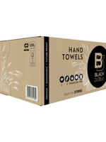 BlackSatino Essuie-mains BlackSatino GreenGrow PT20 275880 pli-Z 2 ép 206x240mm 25x 15fls naturel