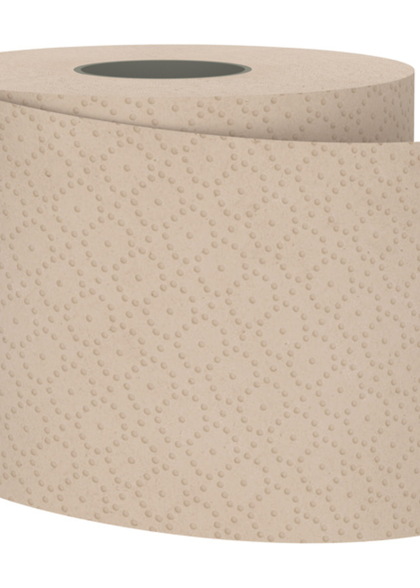 Satino by WEPA Toiletpapier Satino PureSoft MT1 3-laags 250vel naturel 076970