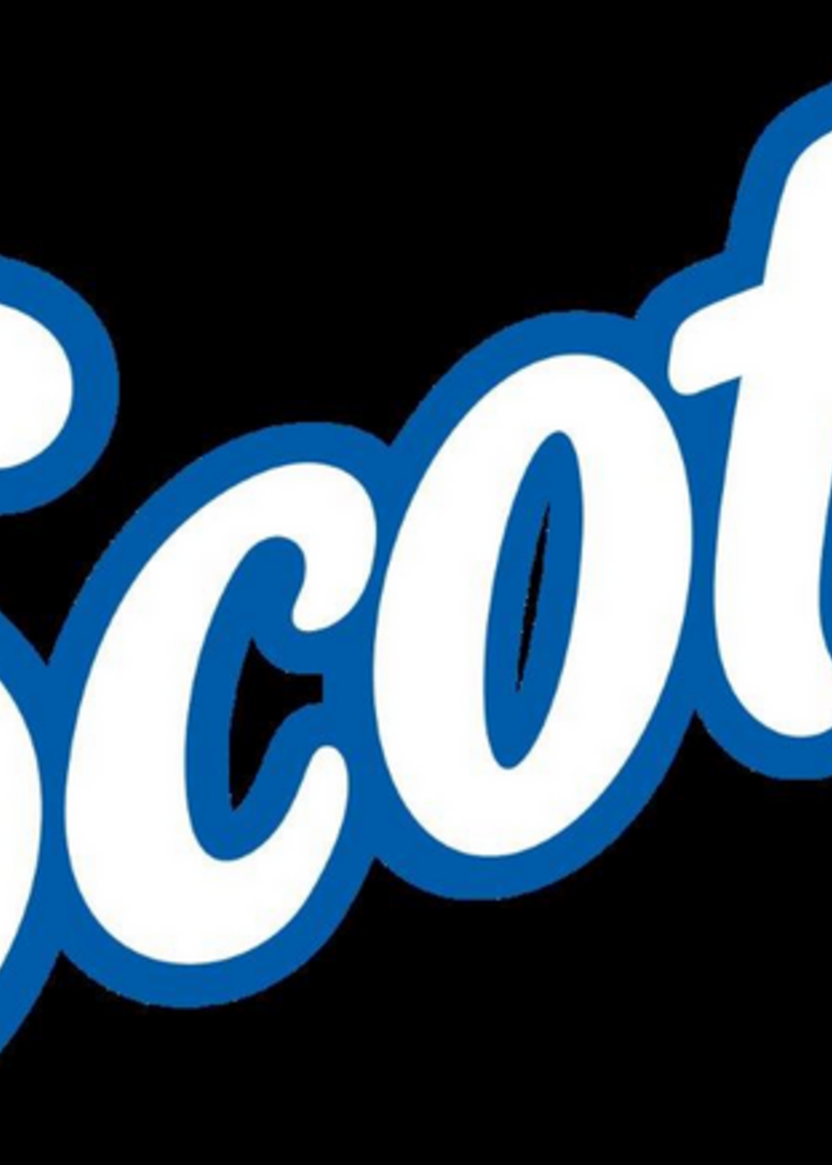 Scott Toiletpapier Scott Essential 2-laags 600vel wit 8517