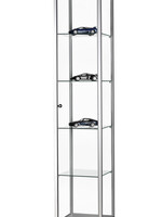 Sdb Vitrine SDB WMS-H400 gris 400x400x1984mm