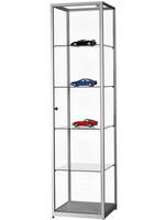 Sdb Vitrine SDB WMS-H500 gris 500x500x1984mm