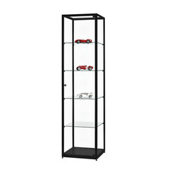 Vitrine SDB WMS-H500 noir 500x500x1984mm