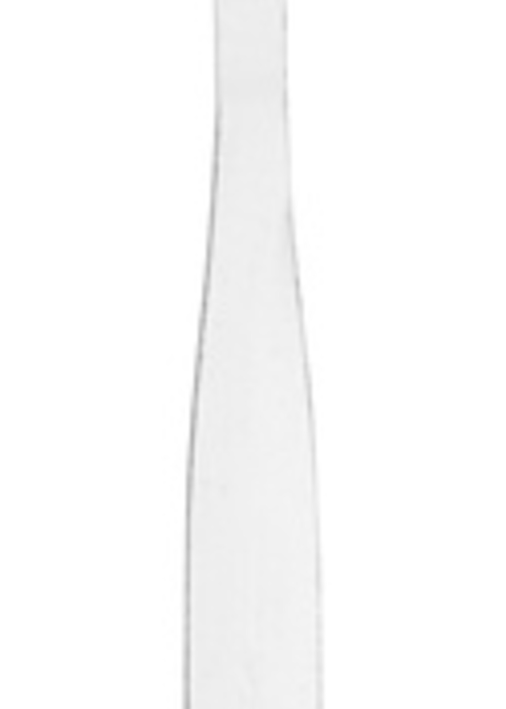 Olympia Lepel Olympia Kelso doos 12 stuks rvs