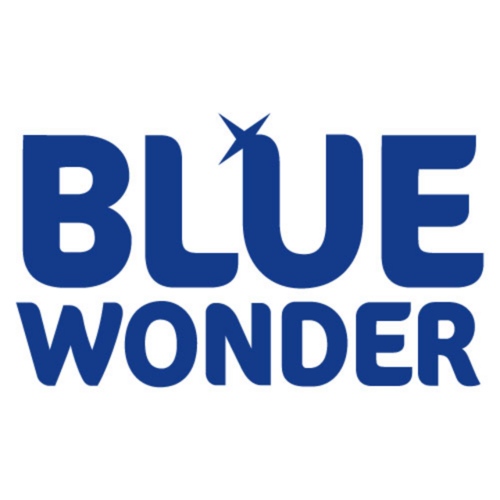 Blue Wonder Desinfectiereinigerdoekjes Blue Wonder 72stuks