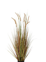 Vepa Bins Kunst Pluimgras Dogtail 120cm groen