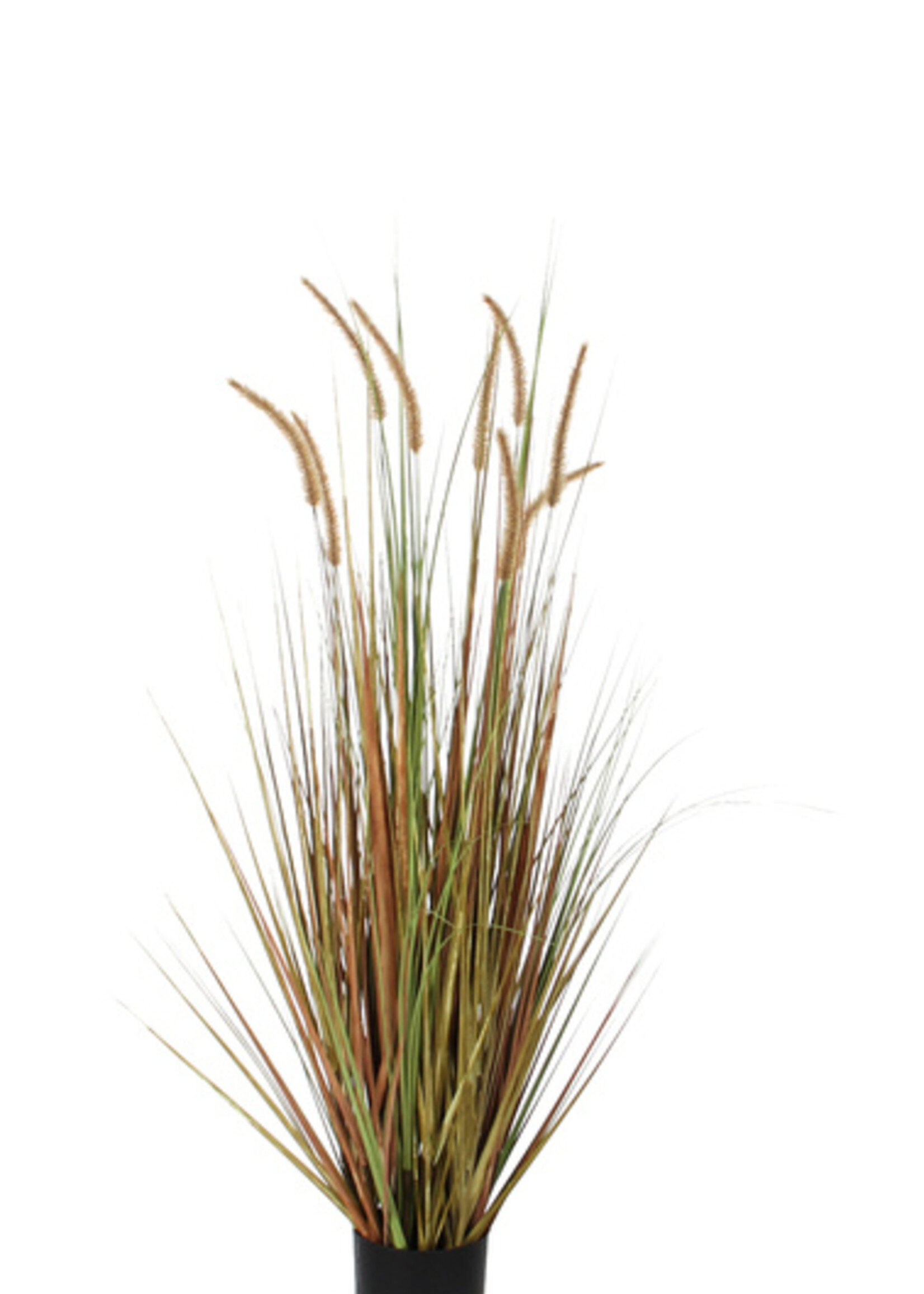 Vepa Bins Kunst Pluimgras Dogtail 120cm groen