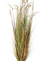 Vepa Bins Kunst Pluimgras Dogtail 180cm groen