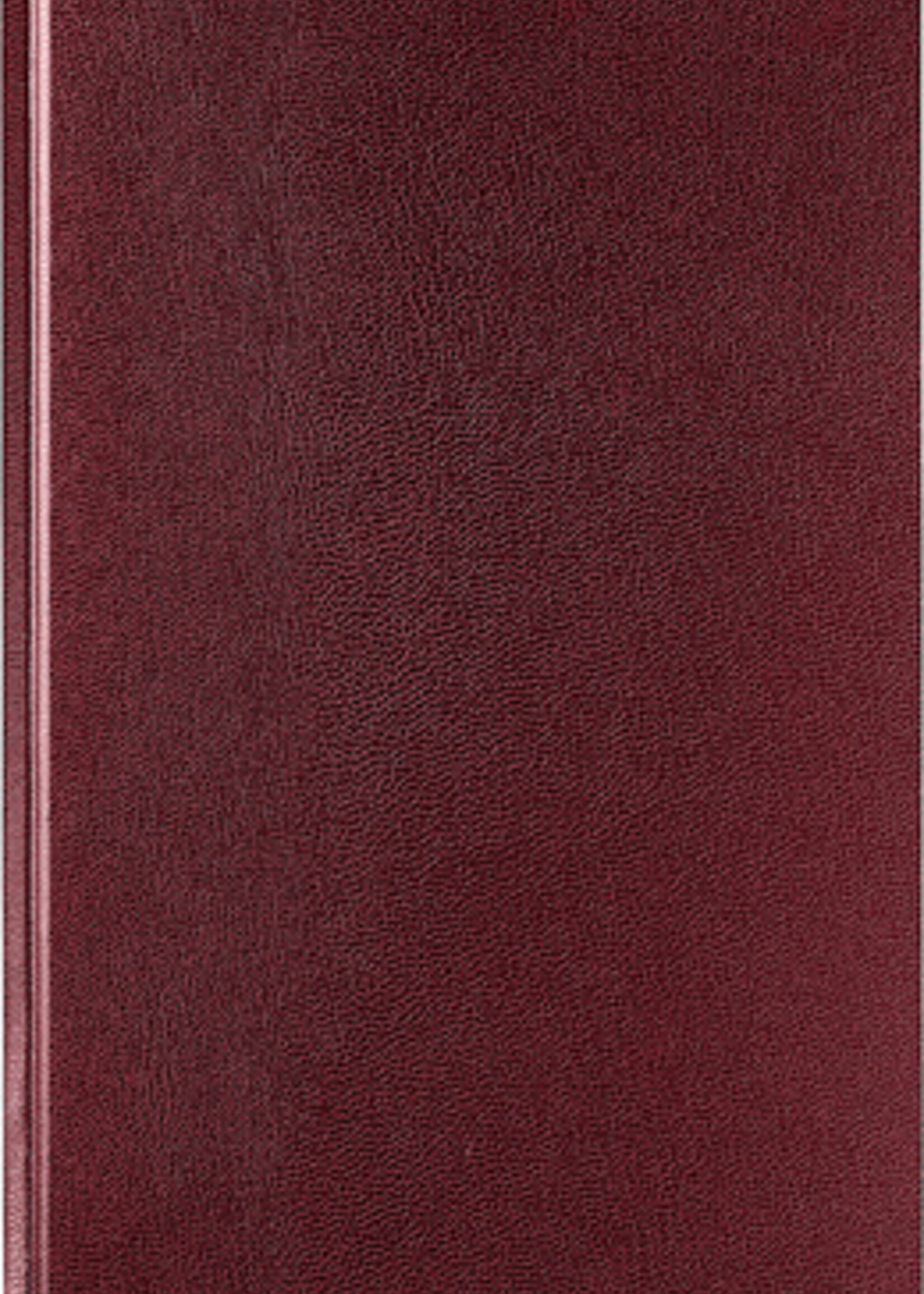 Brepols Agenda 2026 Brepols Saturnus Lima 1dag/1pagina bordeaux