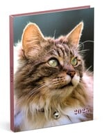 Lannoo Agenda 2026 Lannoo My Favourite Friends 7 jours/2 pages