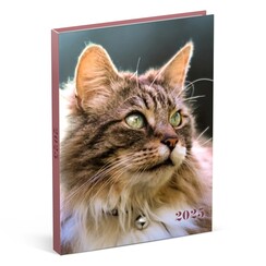 Agenda 2026 Lannoo My Favourite Friends 7 jours/2 pages