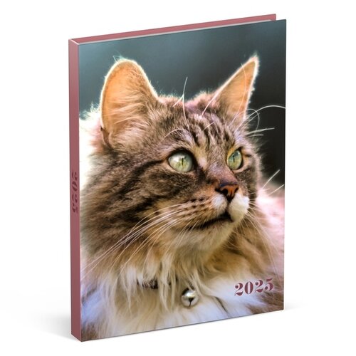 Lannoo Agenda 2026 Lannoo My Favourite Friends 7 jours/2 pages