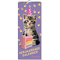 Interstat Calendrier anniversaire Interstat Rachael Hale Kittens