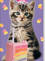 Interstat Verjaardagskalender Interstat Rachael Hale Kittens