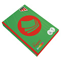 Quantore Kopieerpapier Quantore Colour A4 80gr grasgroen 500 vel