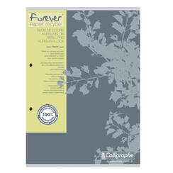 Cursusblok Clairfontaine Forever Calligraphe A4 ruit 5x5mm 2-gaats 200 pagina's 70gr grijs
