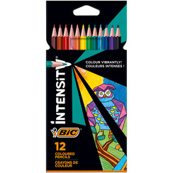 Kleurpotloden Bic Intensity assorti etui  Ã  12 stuks