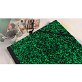 Canson Dossier à dessin Canson Studio 370x520mm élastique vert