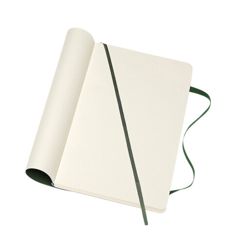 Moleskine Carnet de notes Moleskine L 130x210mm uni vert myrte
