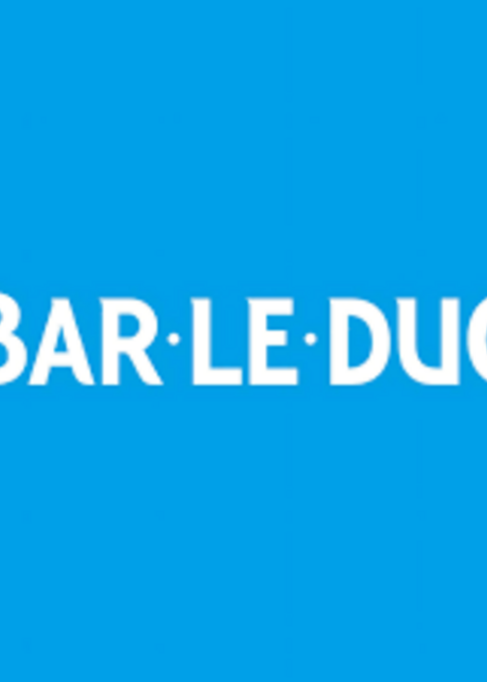 Bar-le-Duc Water Bar-le-Duc koolzuurvrij 2 liter