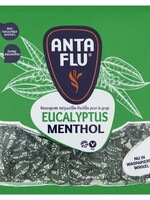 Anta Flu Keelpastilles Anta Flu eucalyptus zak 1 kilogram