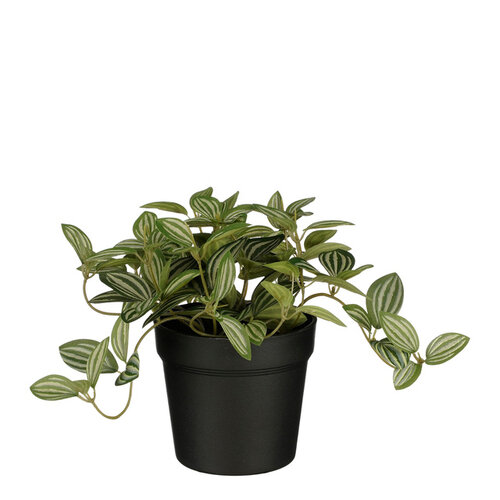 Mica Decorations Kunstplant Mica Tradescantia in pot 16x16cm