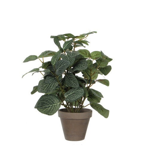 Mica Decorations Plante artificielle Mica Piléa Pot plastique Ø11,5cm 35x25cm