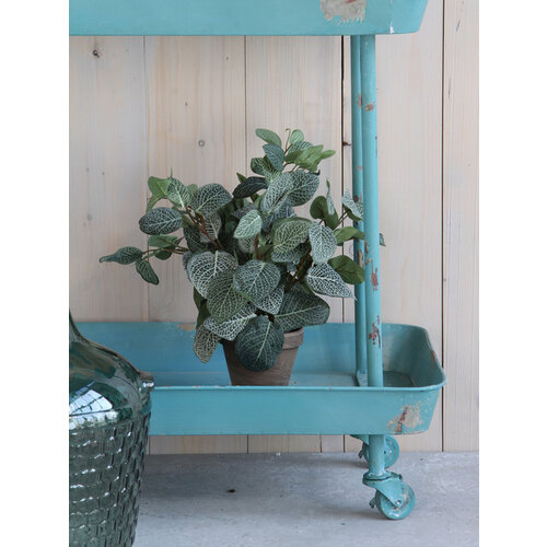 Mica Decorations Plante artificielle Mica Piléa Pot plastique Ø11,5cm 35x25cm