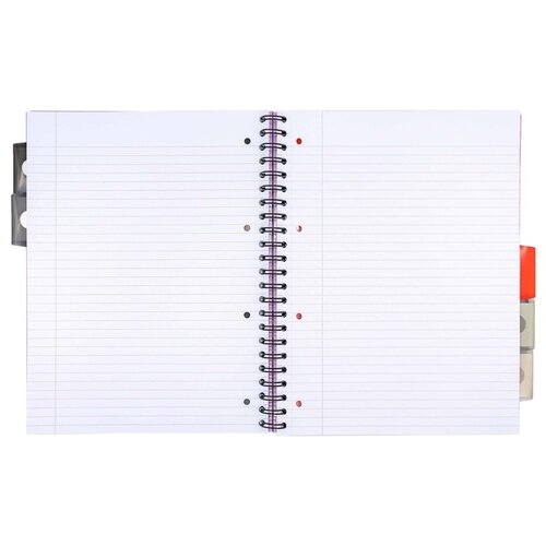 Pukka Pad Projectboek Pukka Pad Metallic Executive A4 lijn 5-tabs 4-gaats 200 pagina's 80gr assorti