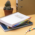 Pukka Pad Carnet de projets Pukka Pad White B5 ligné 10 intercalaires 400 pages 80g