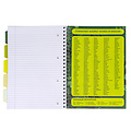 Pukka Pad Projectboek Pukka Pad Recycled A4 lijn 5-tabs 4-gaats 200 pagina's 80gr groen