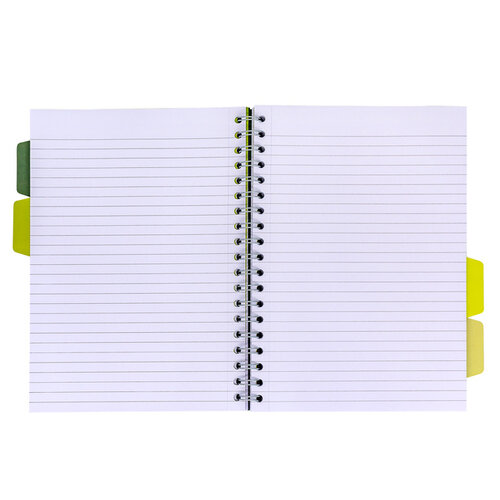 Pukka Pad Carnet de projets Pukka Pad Recycled B5 ligné 4 intercalaires 200 pages 80g vert