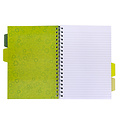 Pukka Pad Projectboek Pukka Pad Recycled B5 lijn 4-tabs 200 pagina's 80gr groen