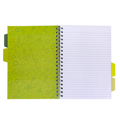 Pukka Pad Carnet de projets Pukka Pad Recycled B5 ligné 4 intercalaires 200 pages 80g vert