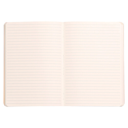 Rhodia Carnet de notes Rhodia A5 ligné 80 feuilles 90g titanium