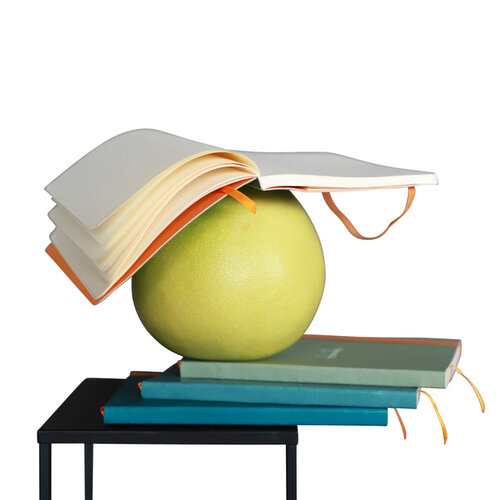 Rhodia Notitieboek Rhodia A5 lijn 80 vel 90gr saliegroen